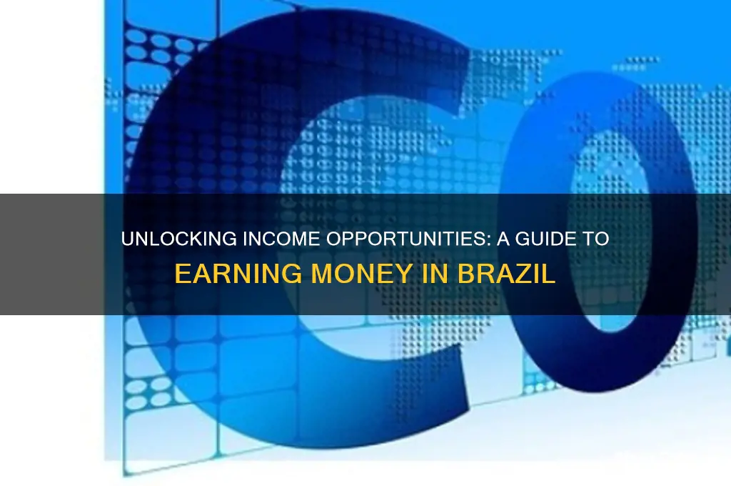 how to earn money in brazil