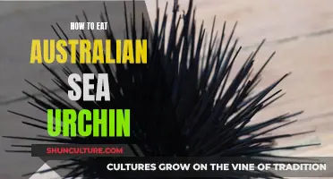 Australian Sea Urchin: A Beginner's Guide to Eating