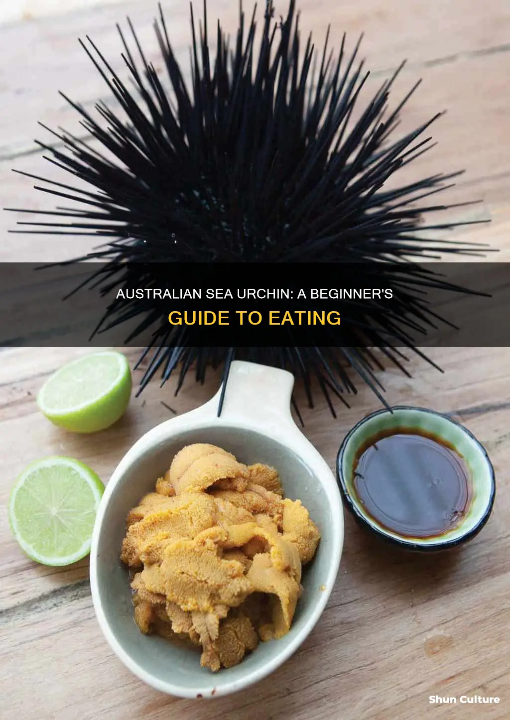 how to eat australian sea urchin