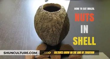 Cracking the Code: Mastering the Art of Eating Brazil Nuts in Shell