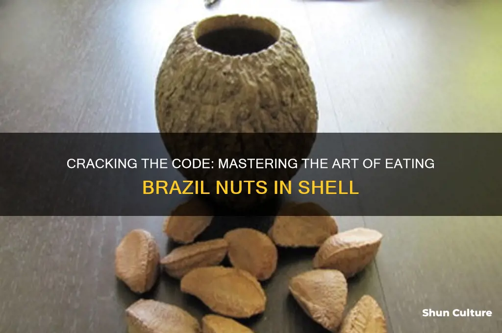 how to eat brazil nuts in shell