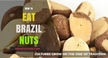 Mastering Brazil Nuts: Simple Tips for Enjoying This Nutrient-Packed Snack