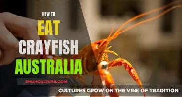 Aussie Guide to Eating Crayfish: Techniques and Tips