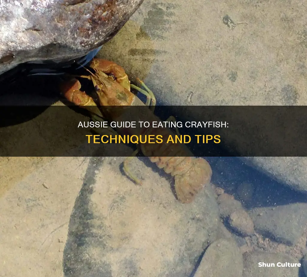 how to eat crayfish australia