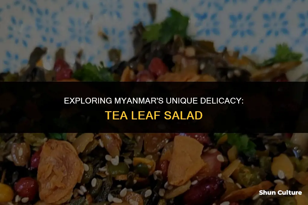 how to eat tea leaf salad in burma