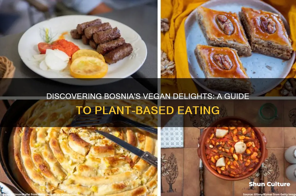 how to eat vegan in bosnia