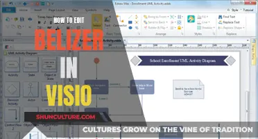 Visio Editing: Perfecting Your Belizer Diagrams