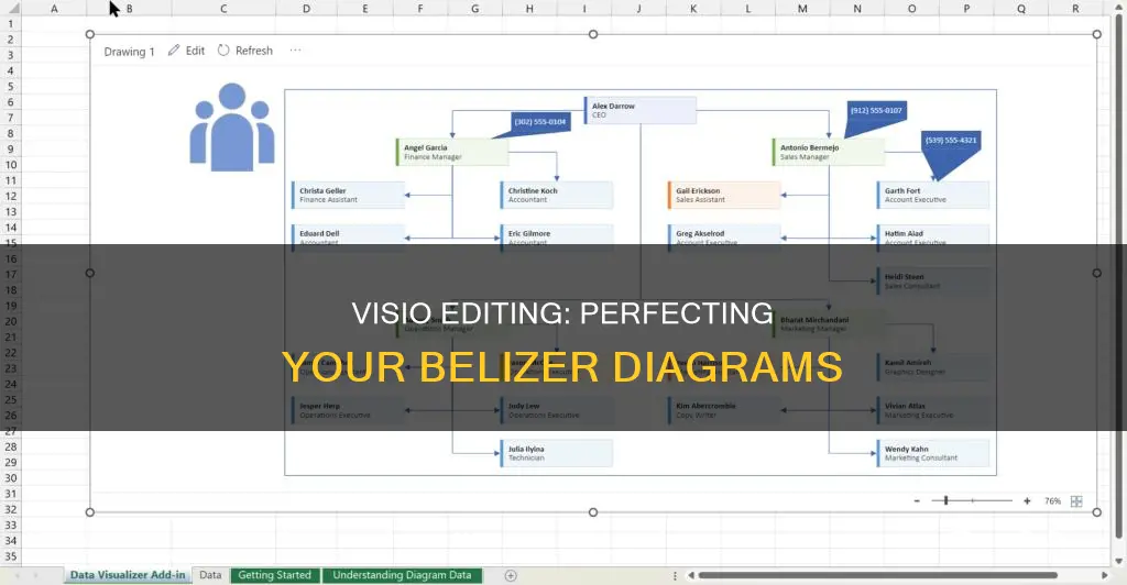 how to edit belizer in visio