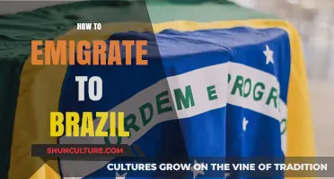 Your Guide to Emigrating to Brazil: Steps, Tips, and Insights