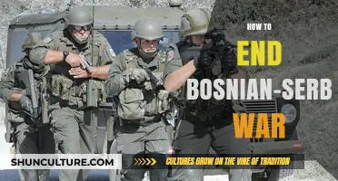 Ending the Bosnian-Serbian War: Strategies for Peace and Reconciliation