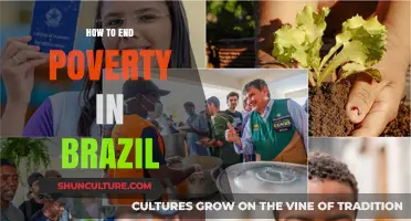 Ending Poverty in Brazil: Strategies for Sustainable Economic Empowerment