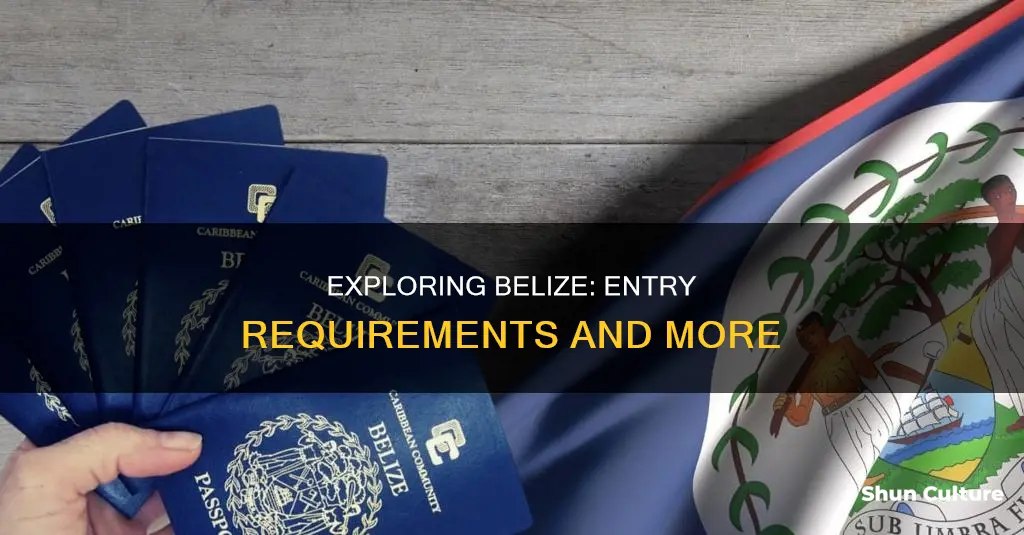 how to enter belize