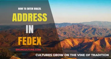 Mastering FedEx Address Entry for Brazilian Shipments: A Step-by-Step Guide