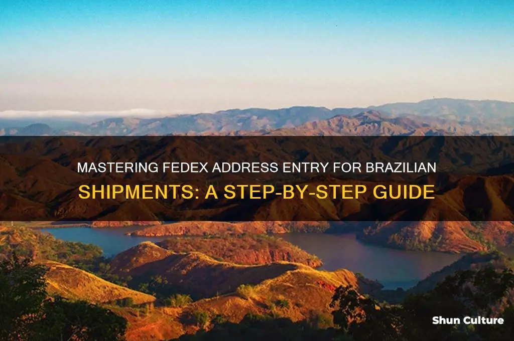 how to enter brazil address in fedex