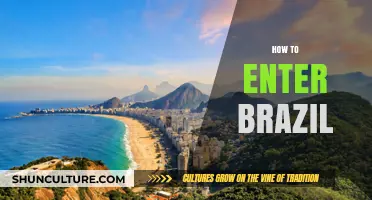 Essential Guide to Entering Brazil: Visas, Requirements, and Travel Tips