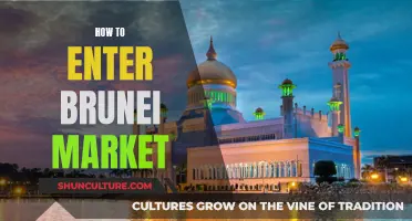 Entering the Brunei Market: Strategies for Success