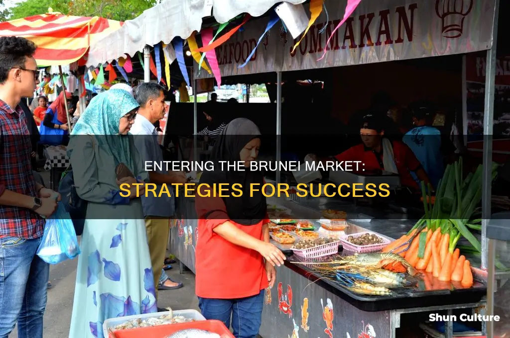 how to enter brunei market