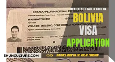 Filling Out Date of Birth on Bolivia Visa Application