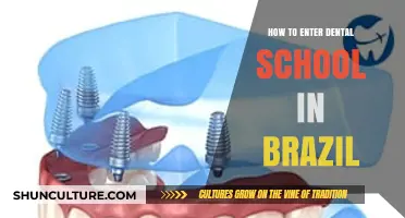 A Step-by-Step Guide to Entering Dental School in Brazil