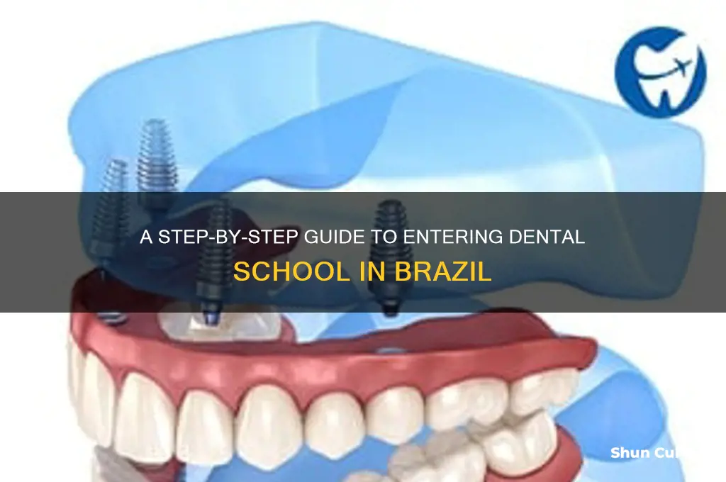 how to enter dental school in brazil