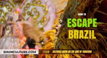 Escape Brazil: Strategies for a Smooth and Successful Departure Plan