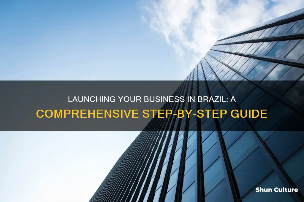 how to establish a business in brazil
