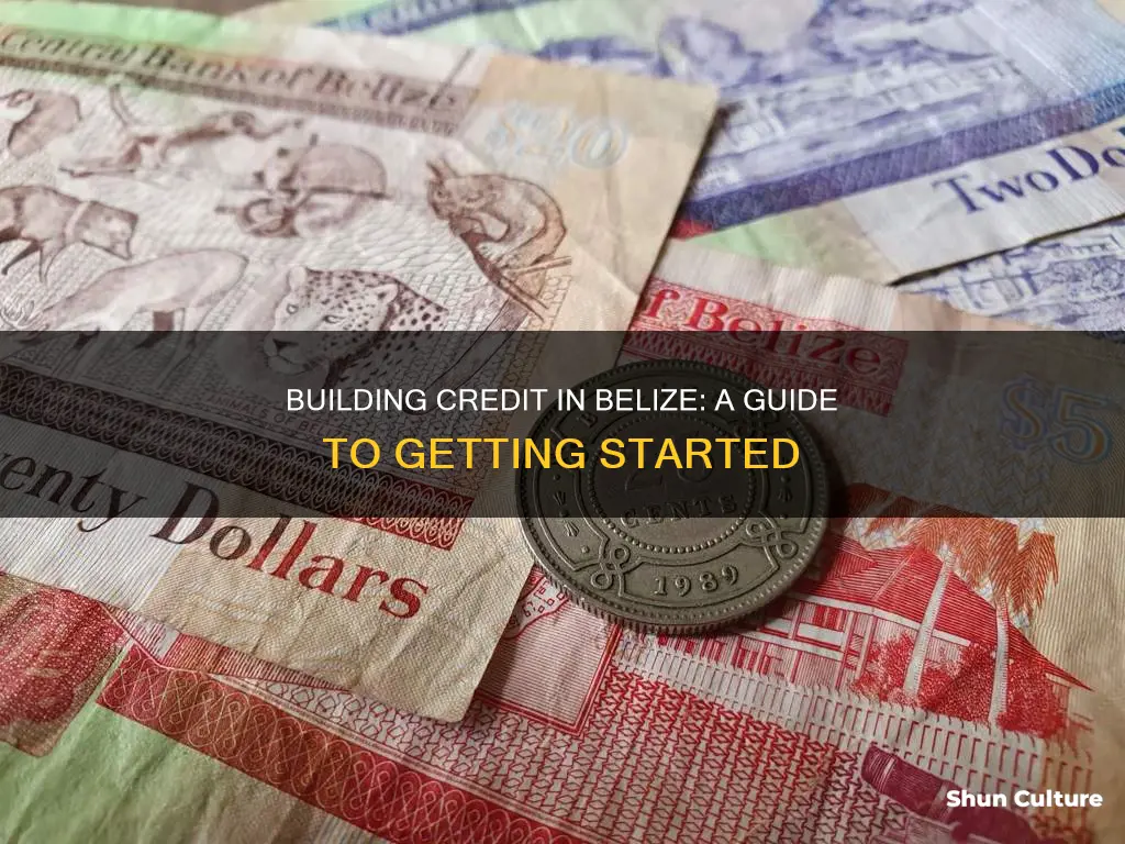 how to establish a credit history in belize