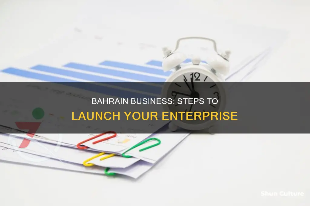 how to establish a new business in bahrain