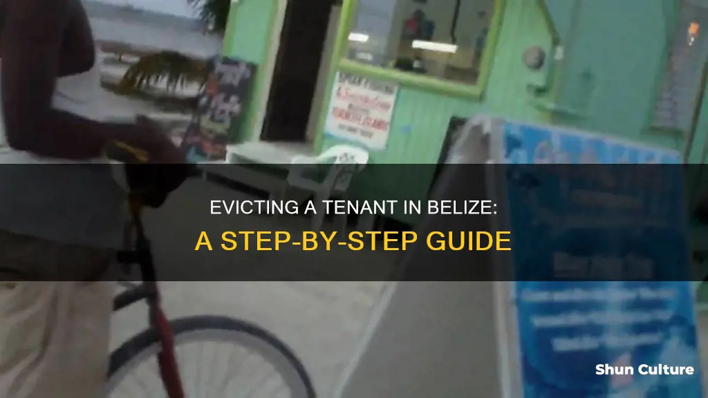 how to evict a tenant I belize