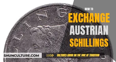 Mastering Currency Exchange: Tips for Austrian Schilling Conversion