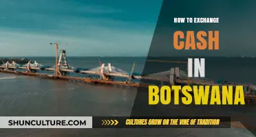 Ultimate Guide to Exchanging Cash in Botswana: Tips and Best Practices