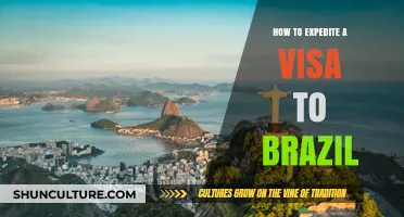 Quick Guide: Expediting Your Brazil Visa Application Process