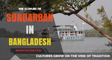 Discover Sundarban: A Beginner's Guide to Exploring Bangladesh's Mangrove Paradise