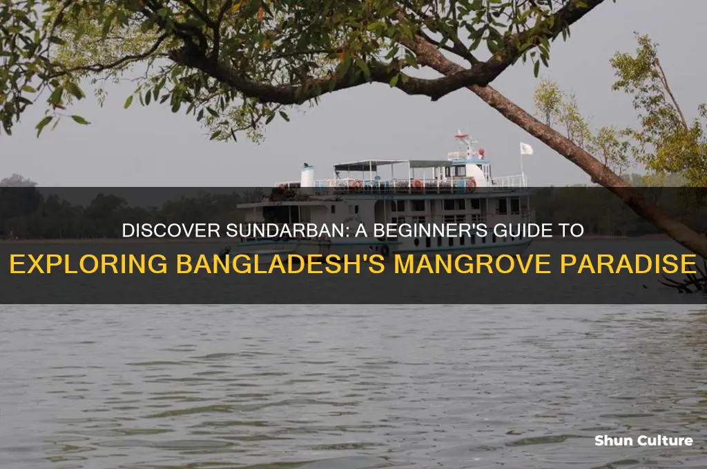 how to explore the sundarban in bangladesh