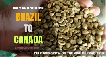 Exporting Brazilian Coffee to Canada: A Comprehensive Step-by-Step Guide