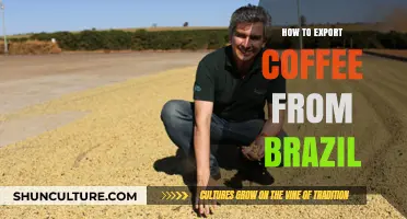 Exporting Brazilian Coffee: A Comprehensive Guide for Global Traders