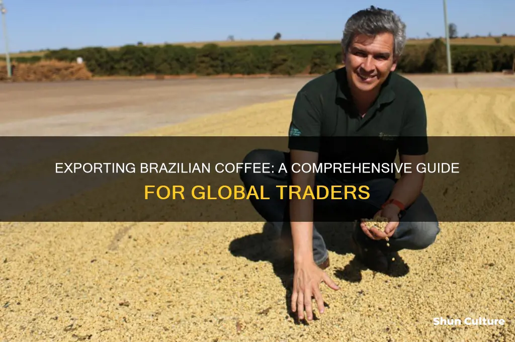 how to export coffee from brazil