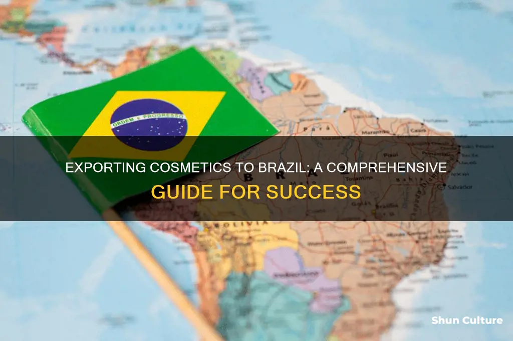 how to export cosmetics to brazil