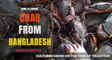 Exporting Crab from Bangladesh: A Comprehensive Guide for Success