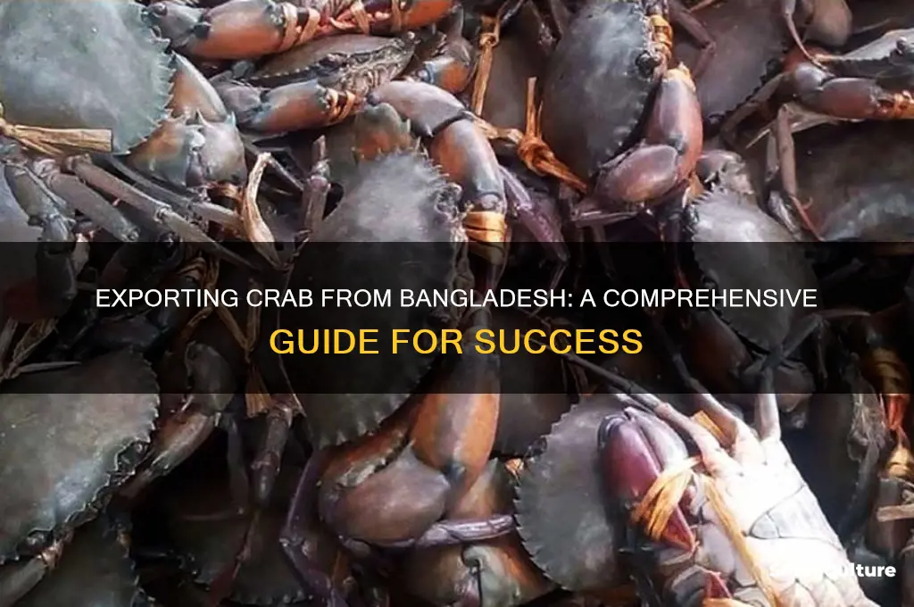how to export crab from bangladesh
