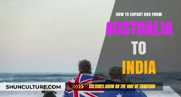 Complete Guide: Exporting Dogs from Australia to India