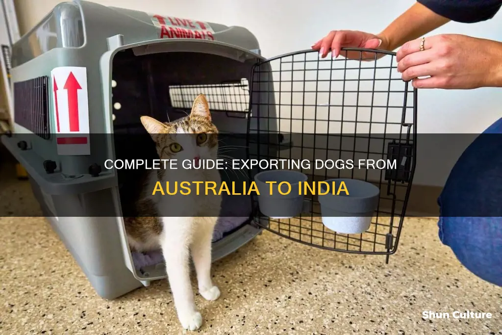 how to export dog from australia to india