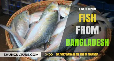 Exporting Fish from Bangladesh: A Comprehensive Guide for Success