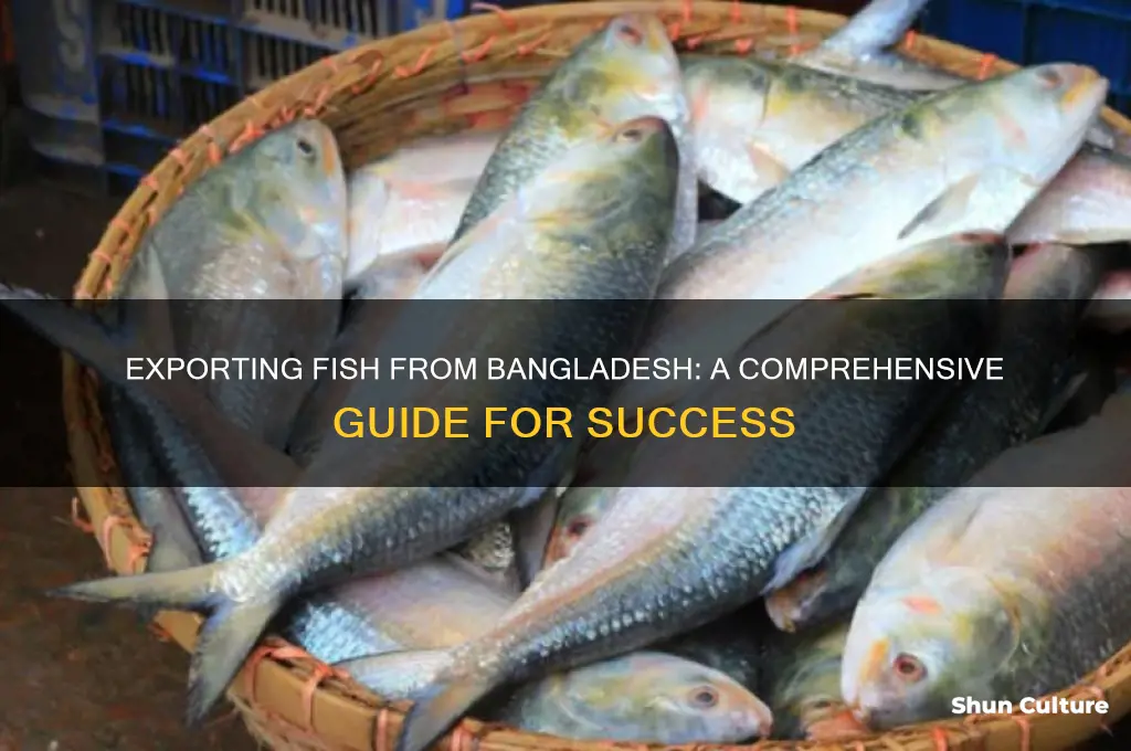 how to export fish from bangladesh
