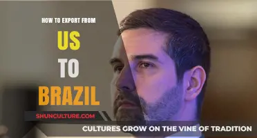 Exporting to Brazil: A Step-by-Step Guide for US Businesses