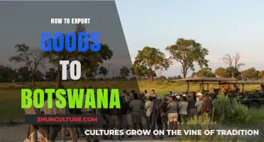 Exporting to Botswana: A Comprehensive Guide for Successful Trade
