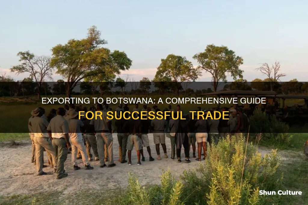 how to export goods to botswana