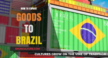 Mastering Brazil's Import Regulations: A Guide to Exporting Goods Successfully