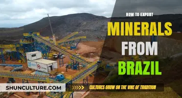 Exporting Minerals from Brazil: A Comprehensive Guide for Success