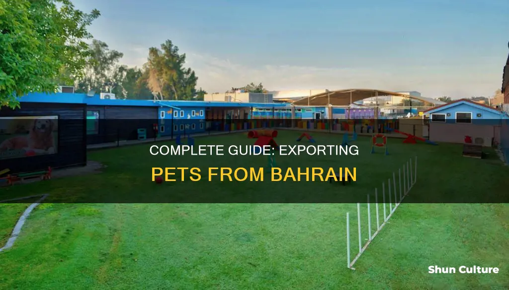 how to export pet from bahrain